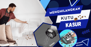 cara menghilangkan kutu kasur dengan garam